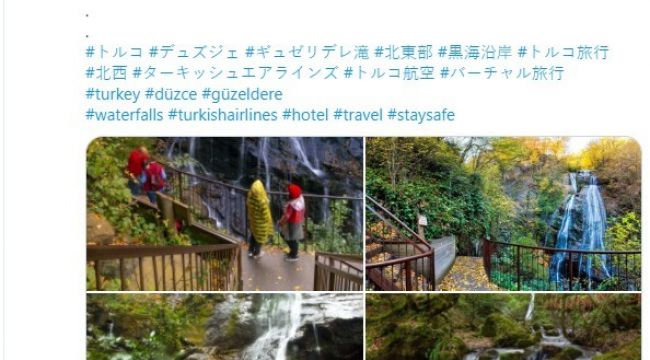 Japon turistlere Düzce tanıtımı yapılıyor