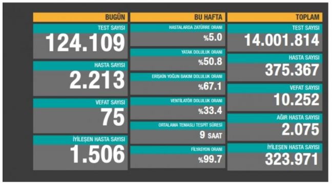 Koronadan ölü sayısı 10 bin 252 oldu