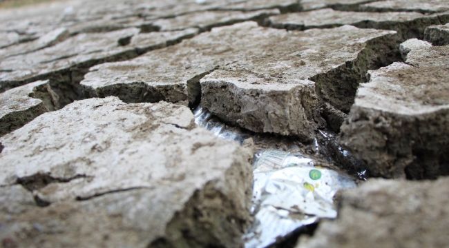 Kuş Cenneti kurudu, insanoğlunun ayıbı ortaya çıktı