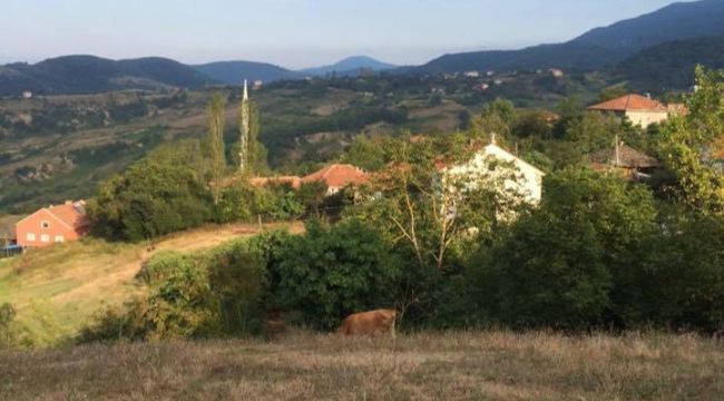 Türkeli'de bir mahalle karantinaya alındı