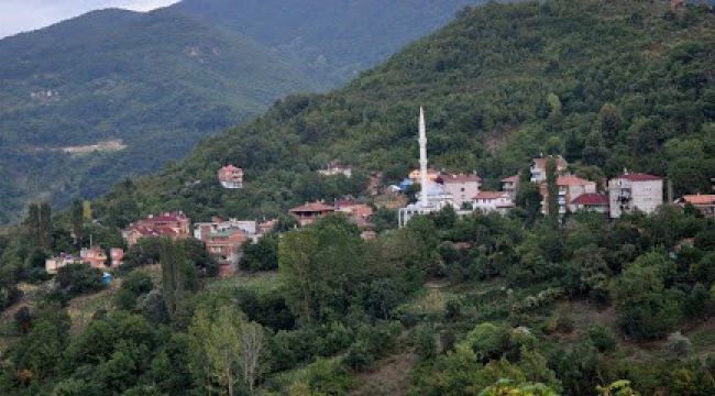 Ayancık'ta bir mahalle karantinaya alındı