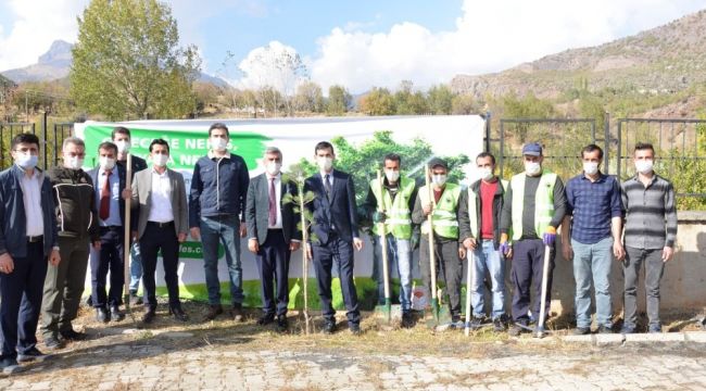 Beytüşşebap'ta fidanlar toprakla buluştu