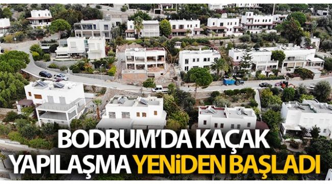 Bodrum'da kaçak yapılaşma yeniden başladı