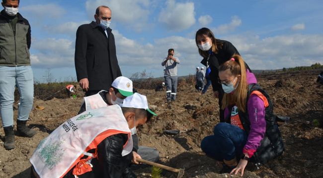 Çavdarhisar, 'Geleceğe nefes' için fidan dikti