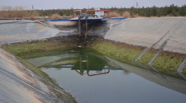 Havuza düşen genci kurtardılar, kendileri öldü