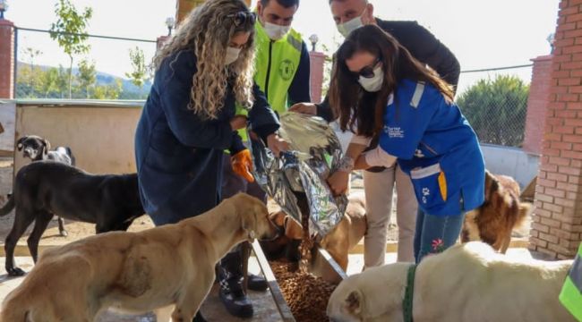 İzmir'deki can dostlar da unutulmadı