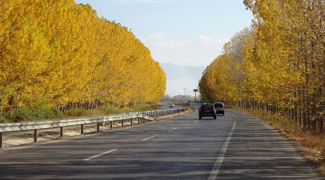 Kara yolunda eşsiz sonbahar manzarası