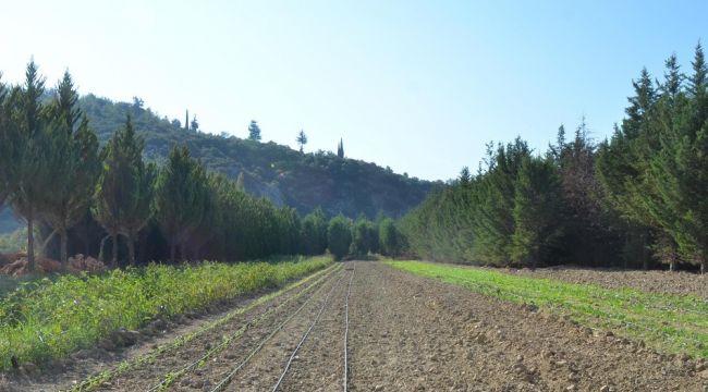 Kuşadası'nın organik ürünleri Türkiye'ye açılıyor