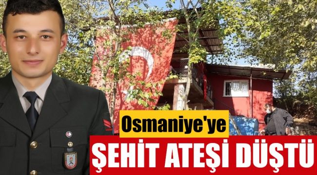 Osmaniye'ye şehit ateşi düştü