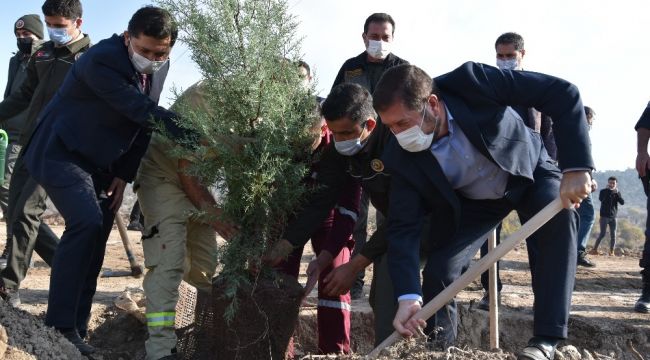 Sındırgı'da 10 bin fidan toprakla buluştu