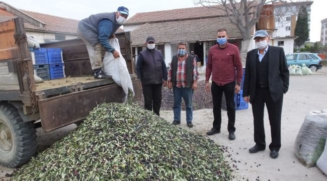 Tağşişin önlenmesine dair kanun zeytincileri sevindirdi