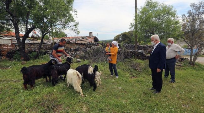 140 kadın üreticiye 420 kıl keçisi dağıtıldı