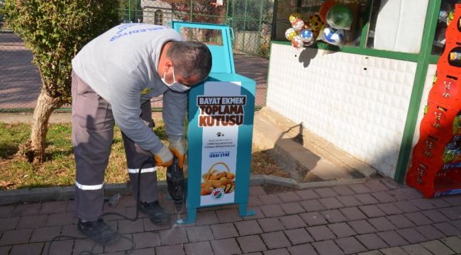 Bayat ekmekler sokak hayvanlarına mama olacak