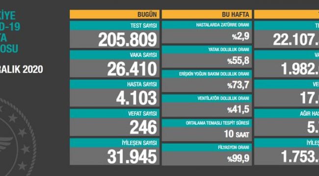 Bir günde 246 can kaybımız daha var