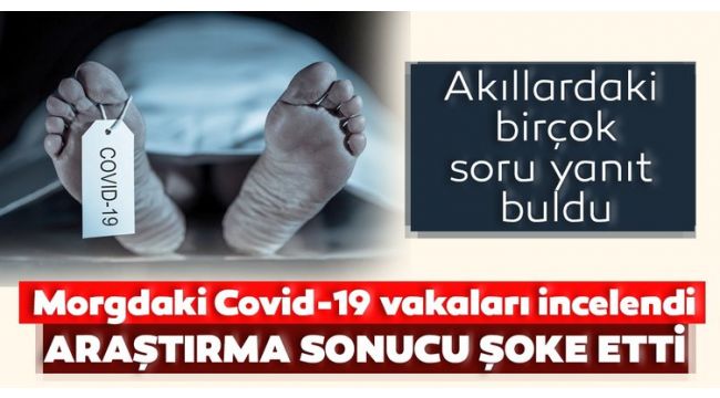 Bu çalışma Covid-19'dan kurtulmayı sağlayabilir