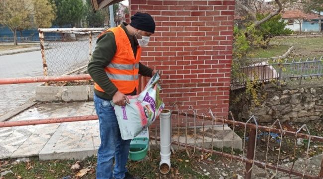 Gediz Belediyesi sokak hayvanlarını unutmadı