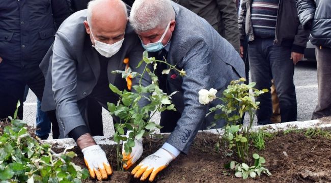 Güllübahçe, adını aldığı güllerine kavuşuyor