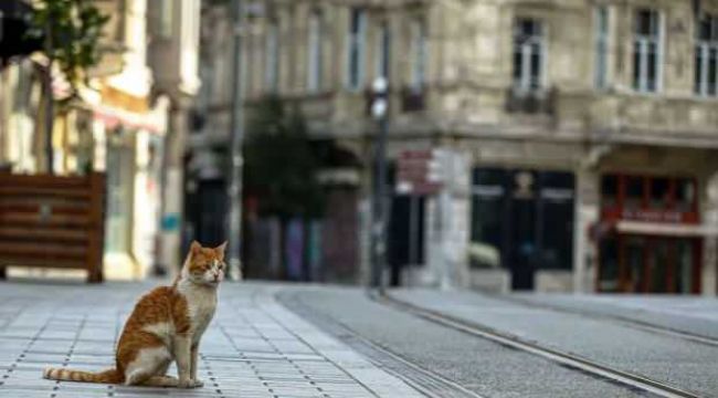 İçişleri Bakanlığı'ndan kısıtlamalarla ilgili o sorulara cevap 