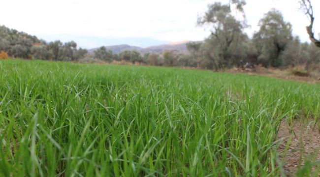 İzmir Büyükşehir kuraklığı böyle yenecek