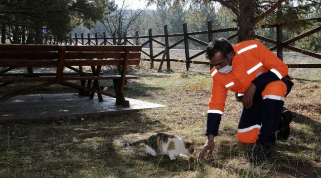 Kısıtlamada sokak hayvanları unutulmadı