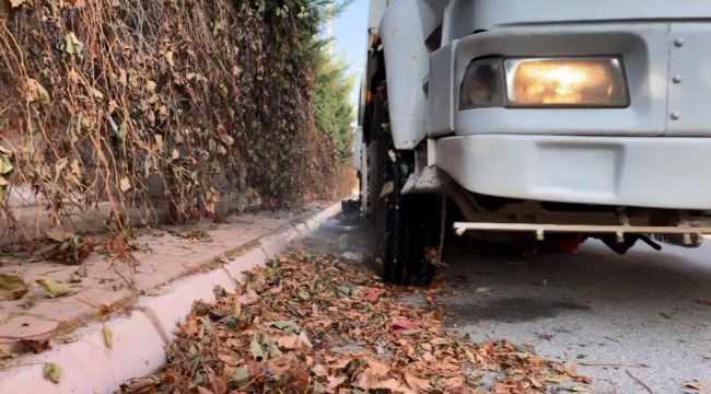 Kuru yapraklar geri dönüşümle parklara gübre oluyor