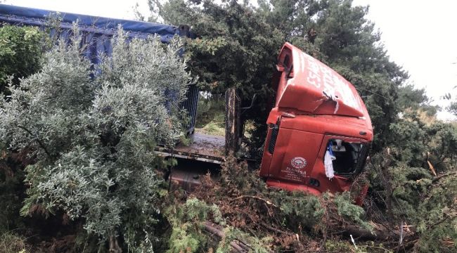 Kuşadası'nda TIR tarlaya uçtu