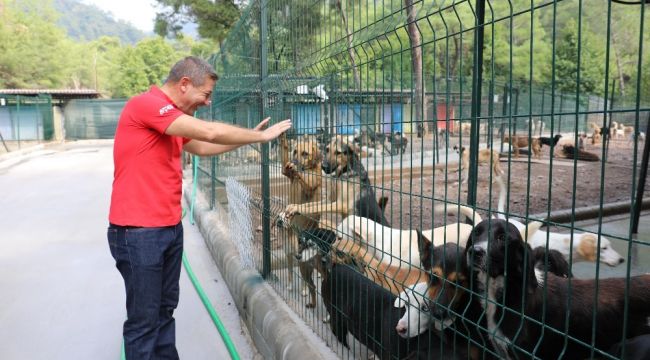 Marmaris'te can dostlar unutulmuyor