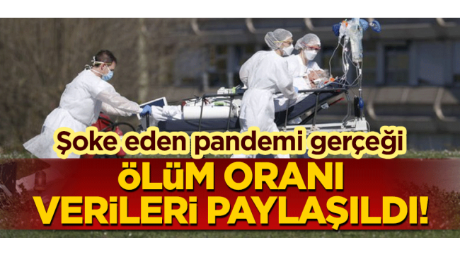 Ölüm oranları açıklandı: Sonuç ilginç