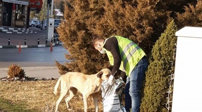 Safranbolu Belediyesi can dostlarını yalnız bırakmadı