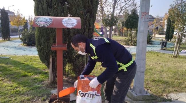 Serdivan Belediyesi, sokak hayvanlarını yalnız bırakmadı