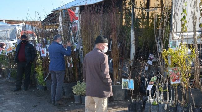 Sinop'ta köylere göç arttı, fidan satışlarını patladı