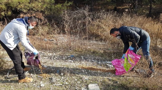 Sokak hayvanlarının aç kalmaması için 80 kişilik ekip kurdu