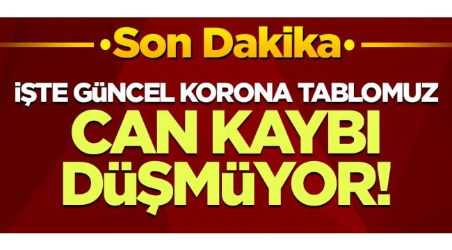 Son 24 saatte korona virüsten 241 kişi hayatını kaybetti