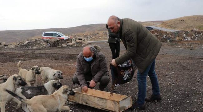 Yahşihan'da sokak hayvanları unutulmadı