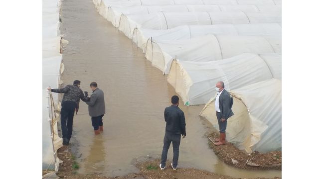 Antalya'da taşan dere ekili alanları su altında bıraktı