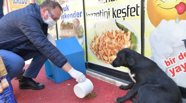 Çiğli Belediyesi veterinerlik hizmetlerinde rekor artış