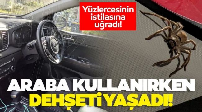 Direksiyonda dehşet anları