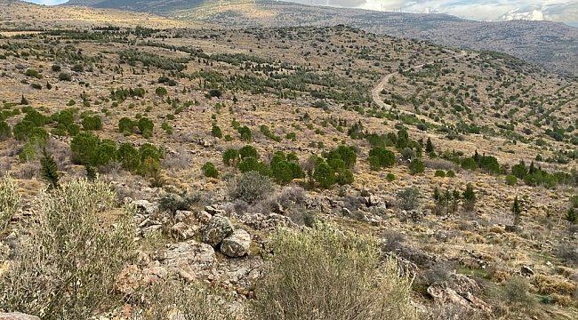 İzmir'de deprem konutları bölgesine dava