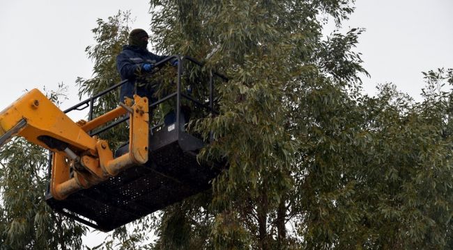 Aliağa Belediyesi ekipleri Kalabak Mahallesi'nde