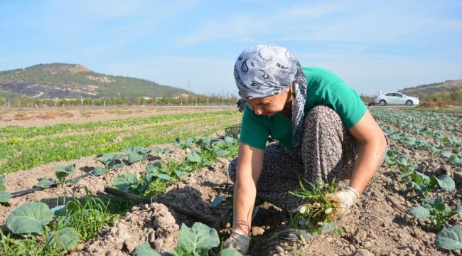 Aliağa Belediyesinden Türkiye'nin ilk toprak ve tarım atlası