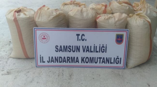 Ayak izi fındık hırsızını yakalattı