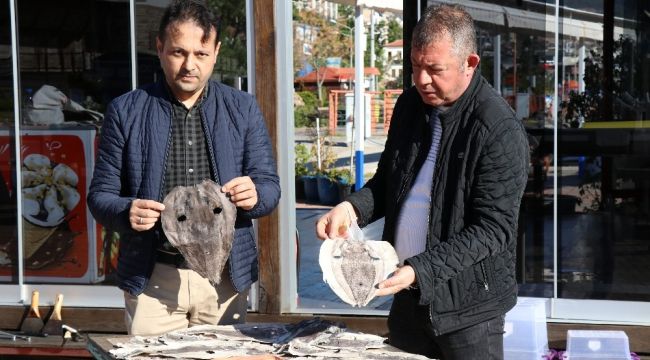 Balon balığı derisi ayakkabı, cüzdan, çanta olacak