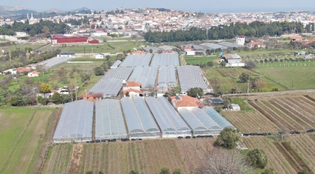 Urla'nın yüzünü güldürebilene aşk olsun