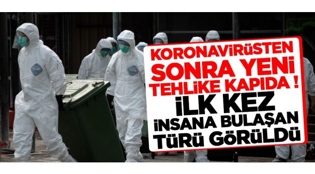 İlk kez insana bulaşan türü görüldü