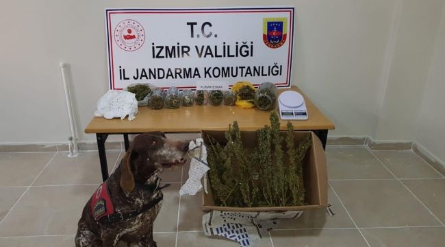 İzmir'in 3 ilçesinde jandarmadan uyuşturucu baskınları