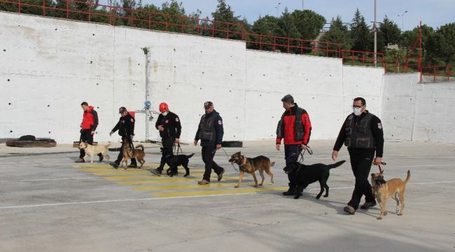 İzmir'in cesur köpekleri