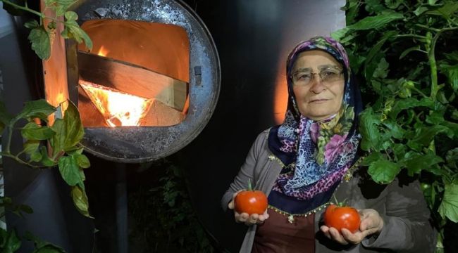 Kadın çiftçilerin zorlu zirai don nöbeti