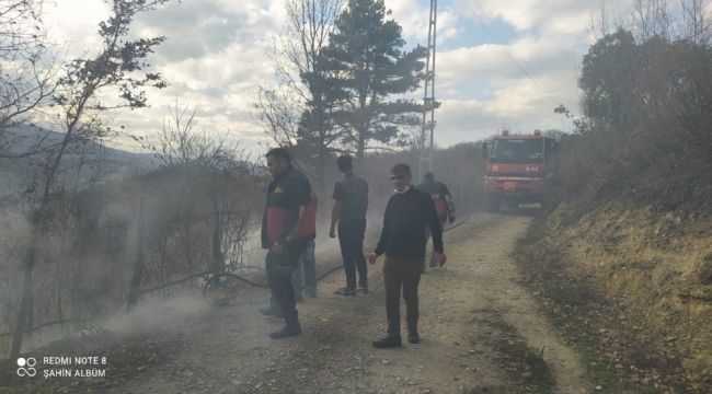 Türkeli'de anız yangını: 1 yaralı