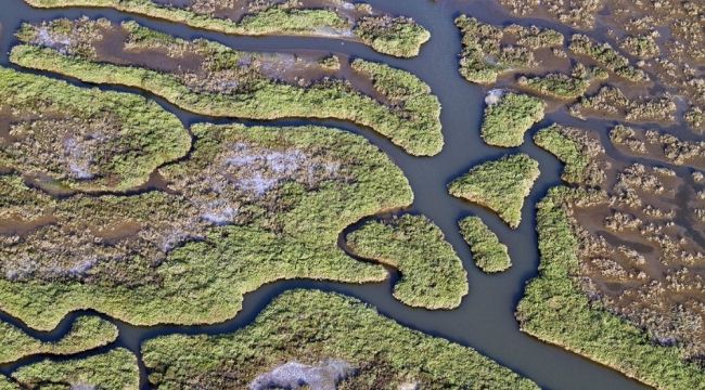 Türkiye'nin ilk Yeşil Şehir Eylem Planı İzmir için hazırlandı