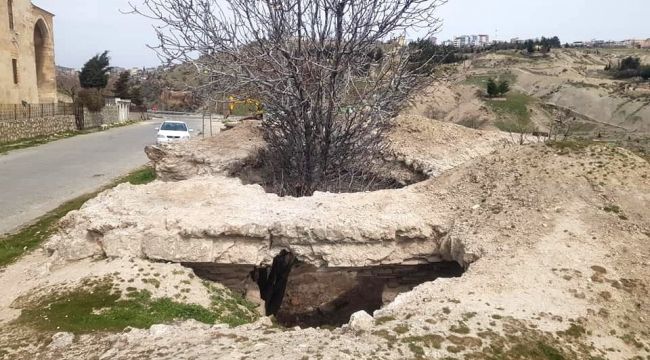 400 yıllık tarihi hamamın içinde incir ağacı